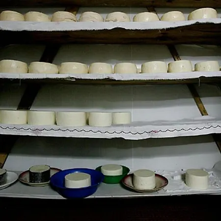 2br Serra Da Estrela Escape-cheese & Wine Parking Appartement *