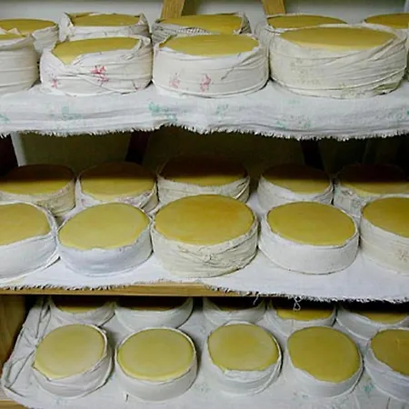 Appartement 2br Serra Da Estrela Escape-cheese & Wine Parking