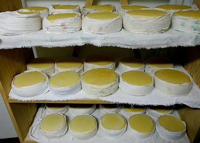 شقة 2br Serra Da Estrela Escape-cheese & Wine Parking