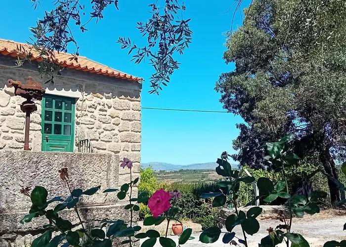 2br Serra Da Estrela Escape-cheese & Wine Parking